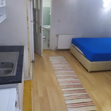 Ueskuedar Da Sahile Yakin Ev Apartment Istanbul